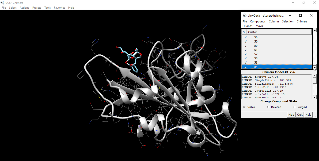 Molecular docking of isopaeniflorin inhibitor at omicron spike.