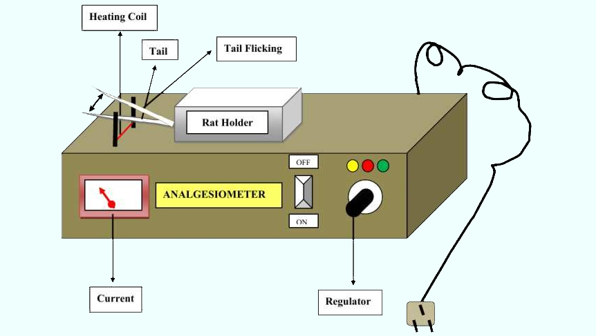 Explanatory diagram of Tail Flick Analgesiometer.
